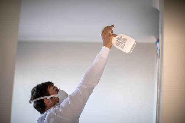 Best Black Mold Removal  in Little Elm, TX
