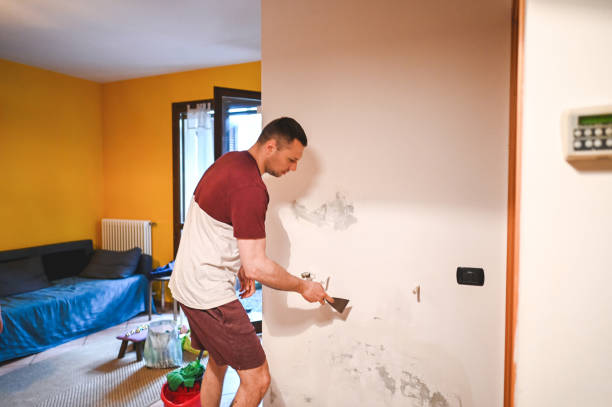 Best Mold Testing  in Little Elm, TX